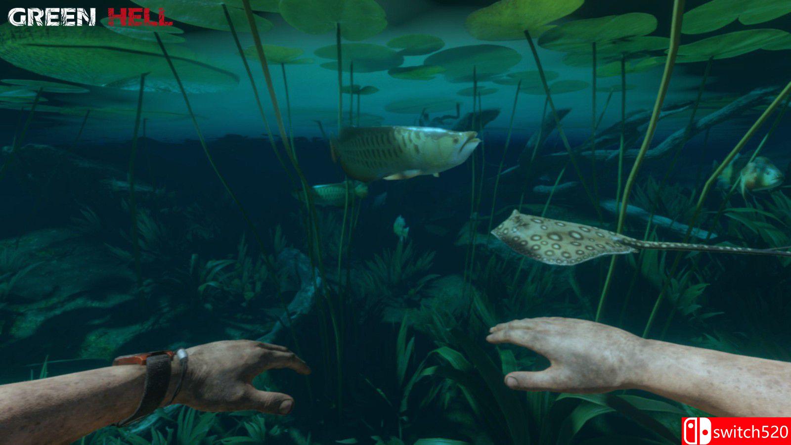 《丛林地狱》游戏截图3