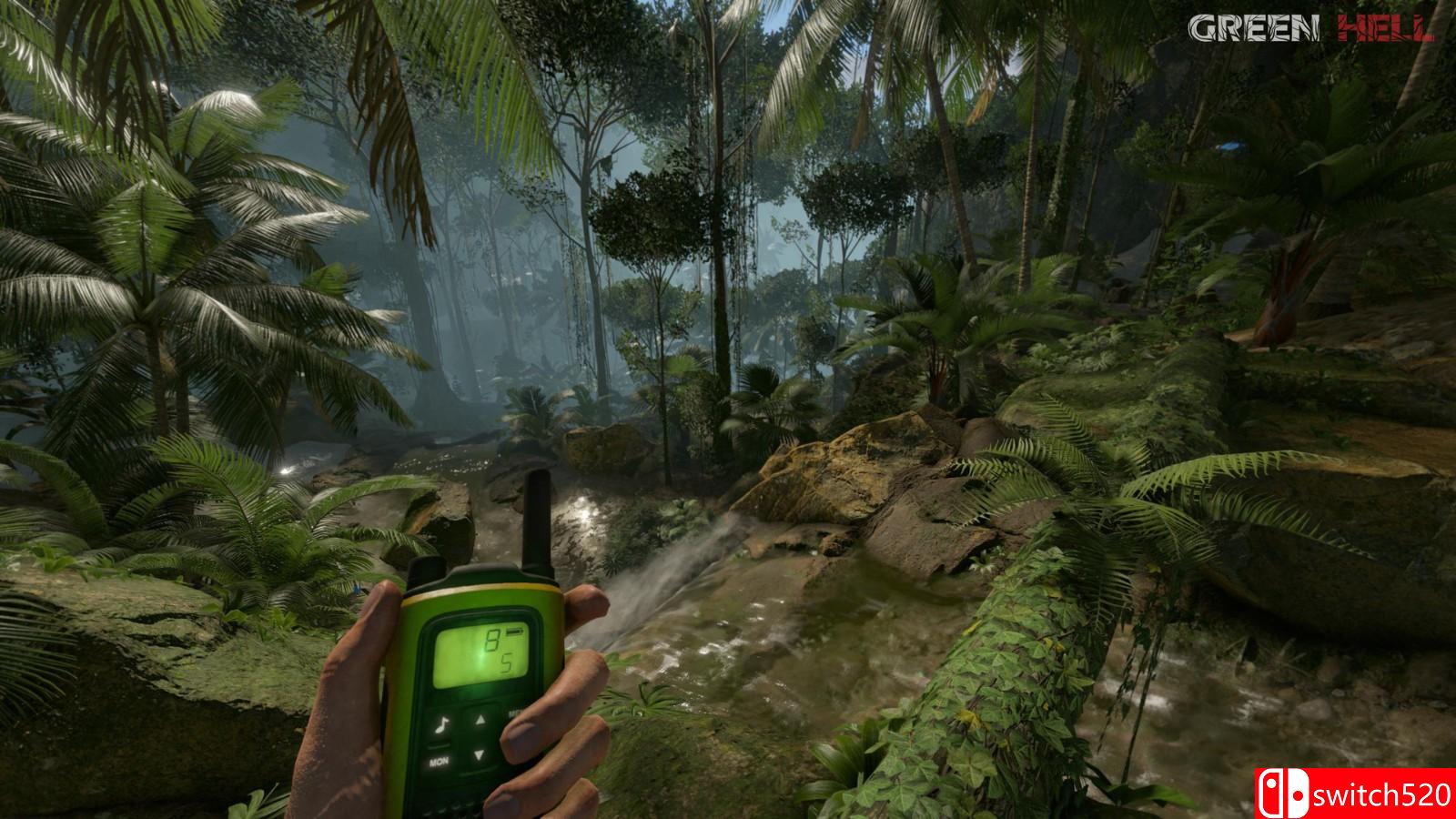 《丛林地狱》游戏截图5