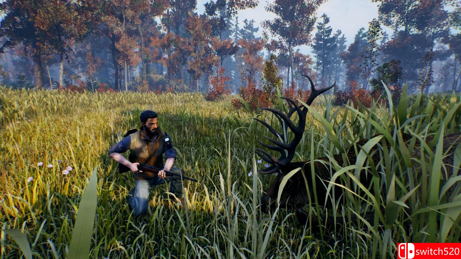 《辽阔旷野》游戏截图3