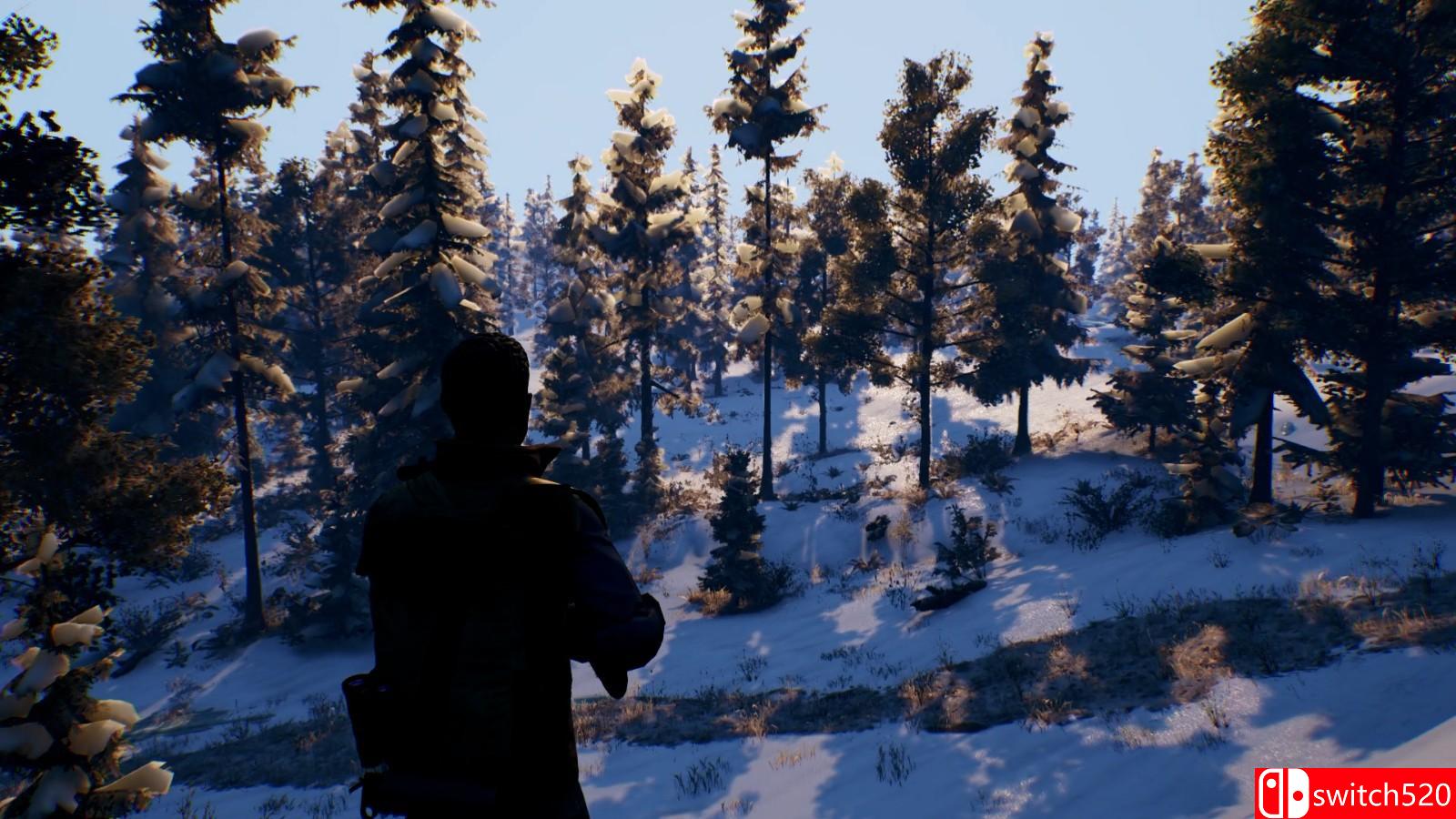 《辽阔旷野》游戏截图6