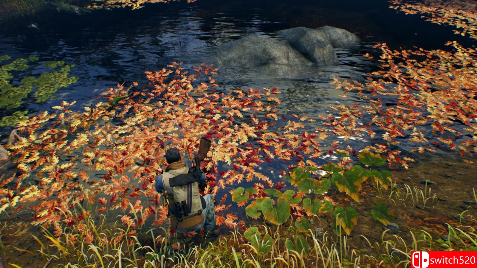 《辽阔旷野》游戏截图5