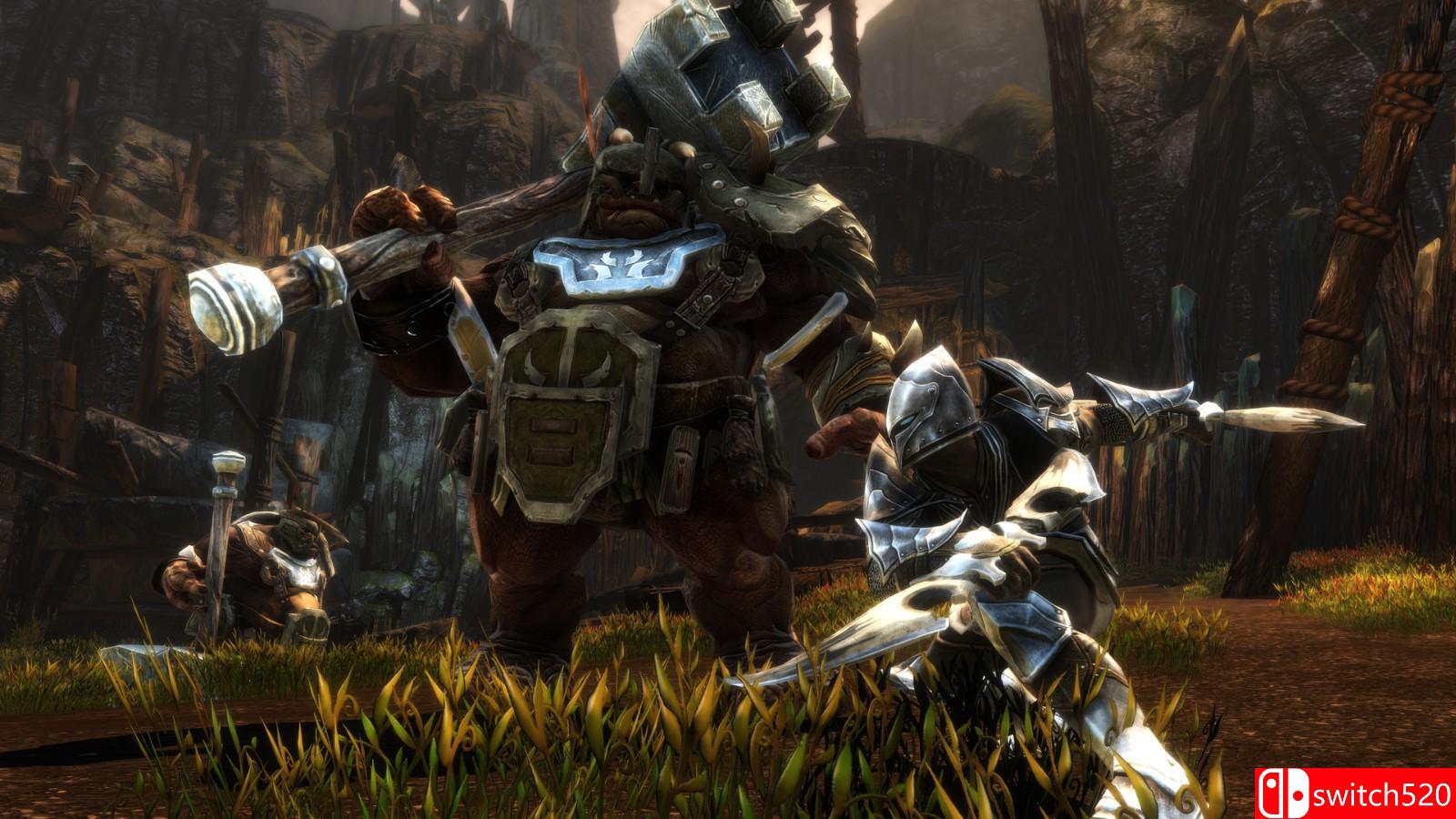 《阿玛拉王国：惩罚重制版》游戏截图7