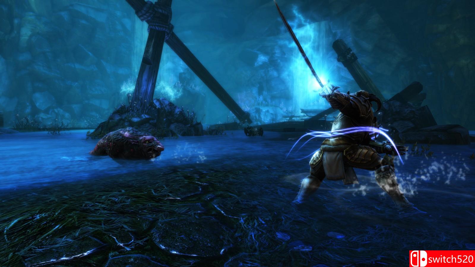 《阿玛拉王国：惩罚重制版》游戏截图4