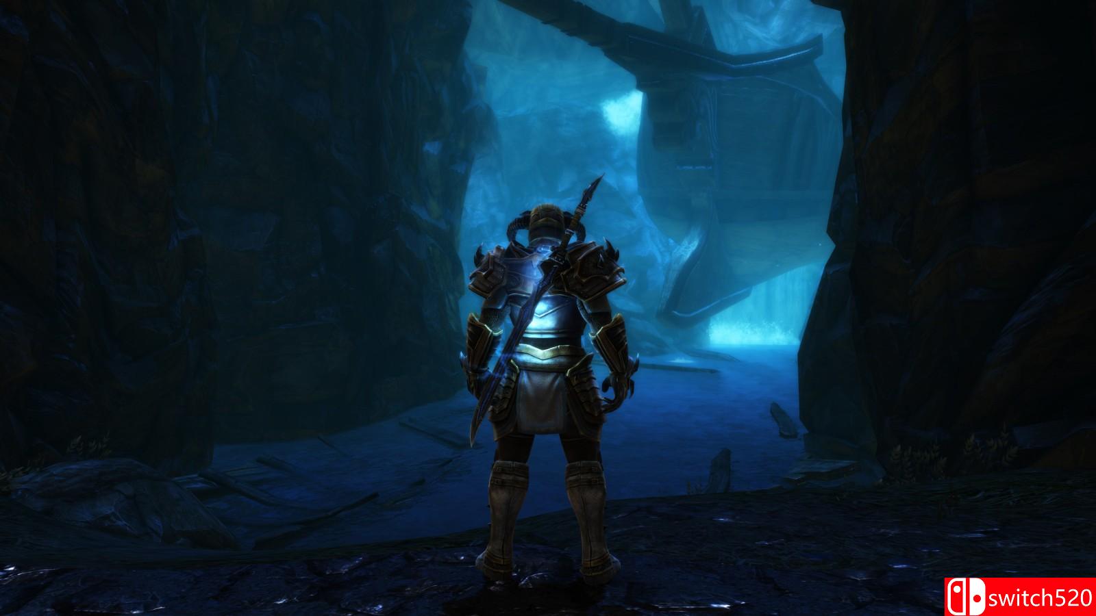 《阿玛拉王国：惩罚重制版》游戏截图8