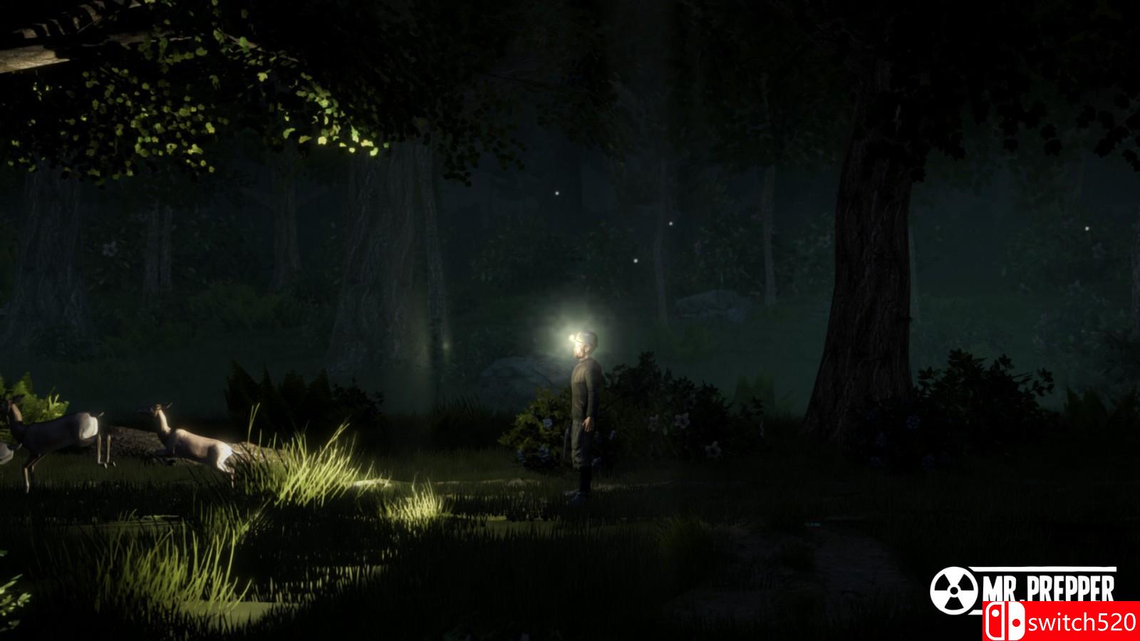 《末日准备狂》游戏截图5