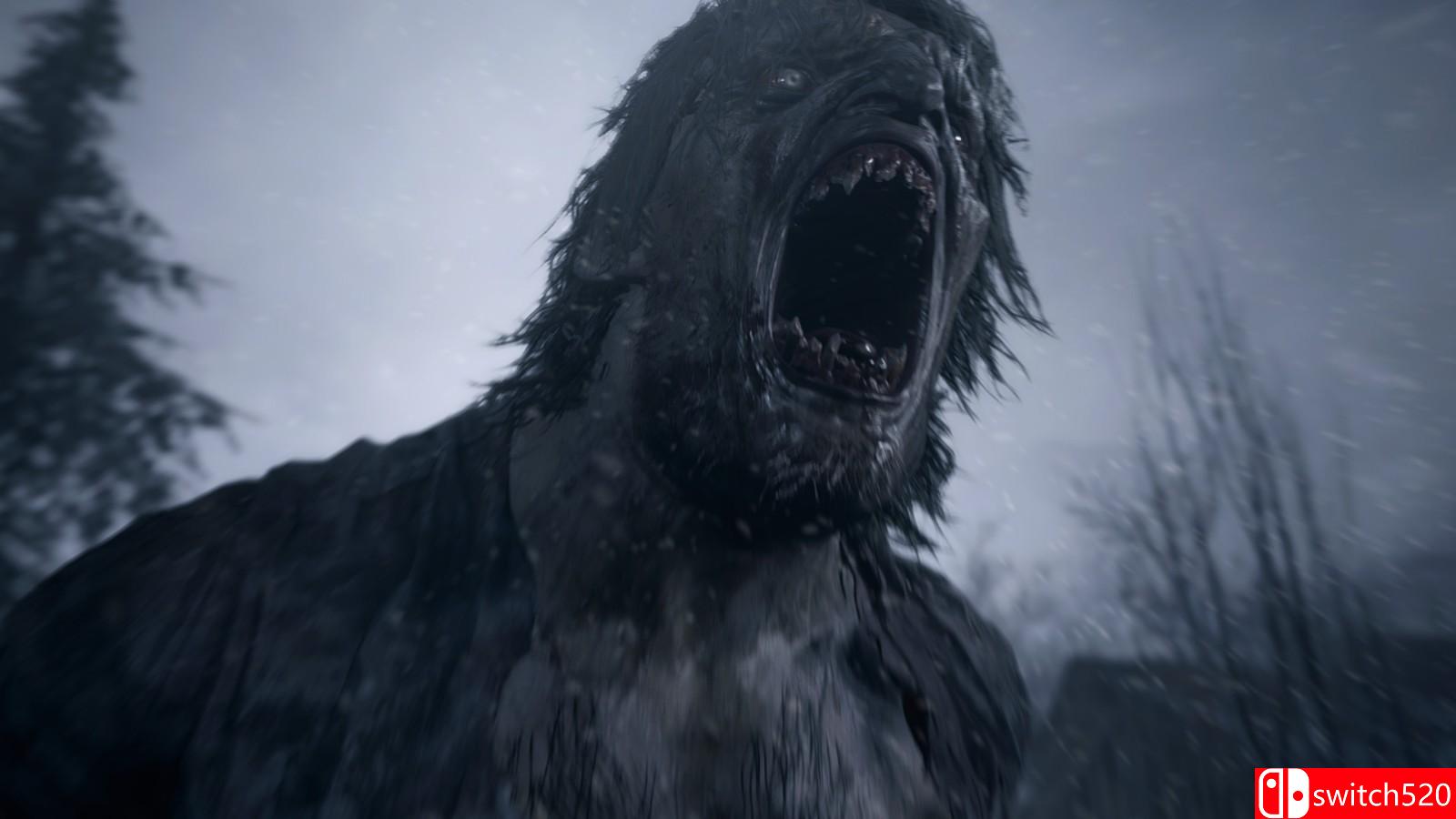 《生化危机8：村庄》游戏截图3