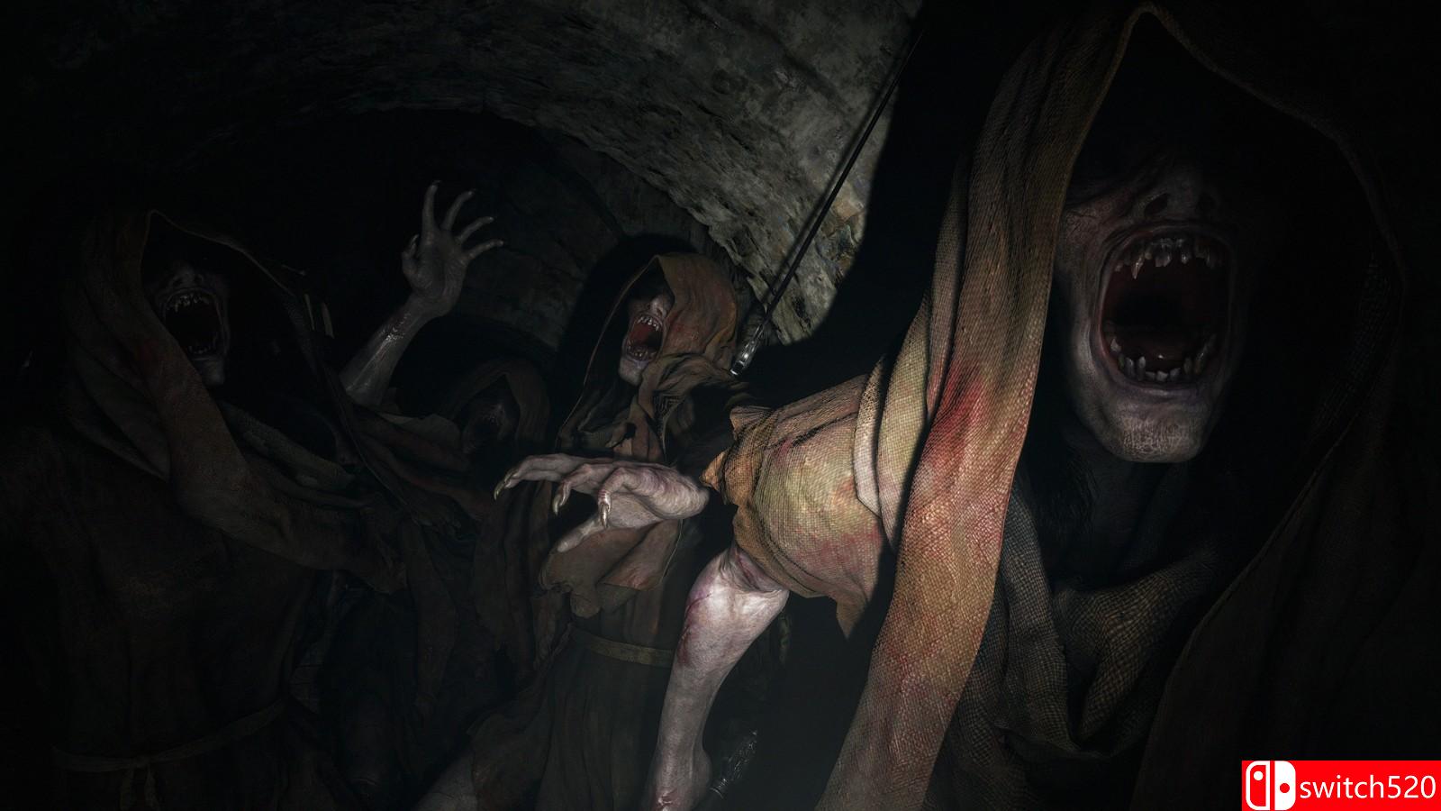 《生化危机8：村庄》游戏截图2