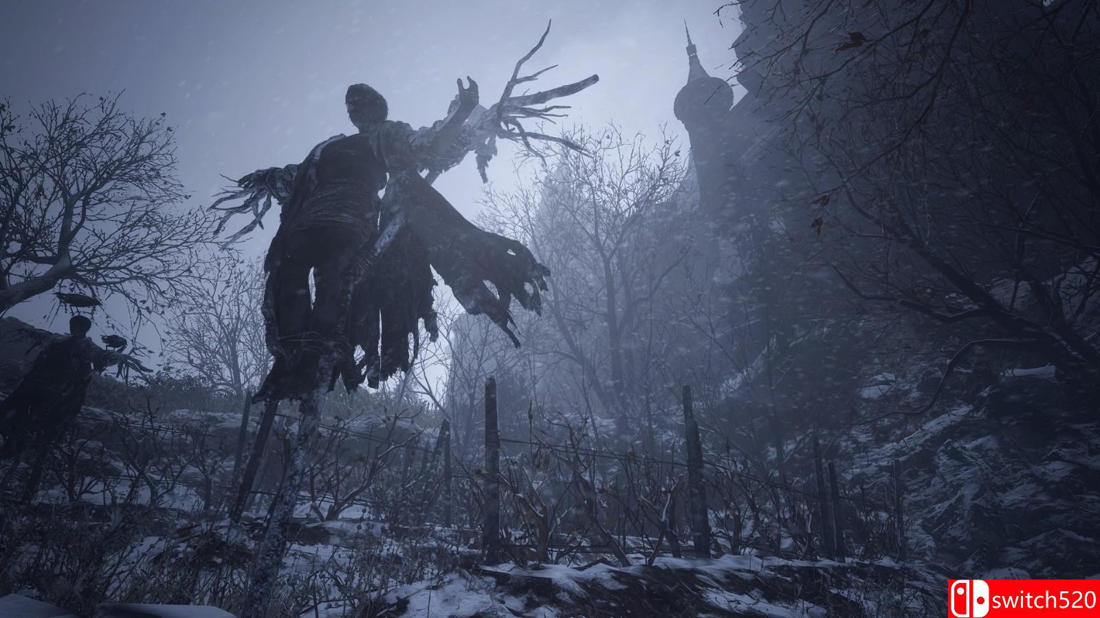 《生化危机8：村庄》游戏截图8