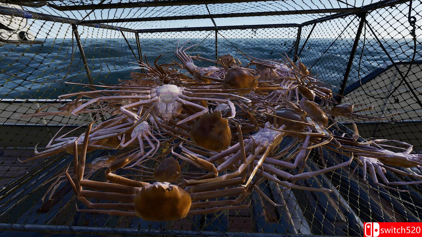 《钓鱼：北大西洋》游戏截图1