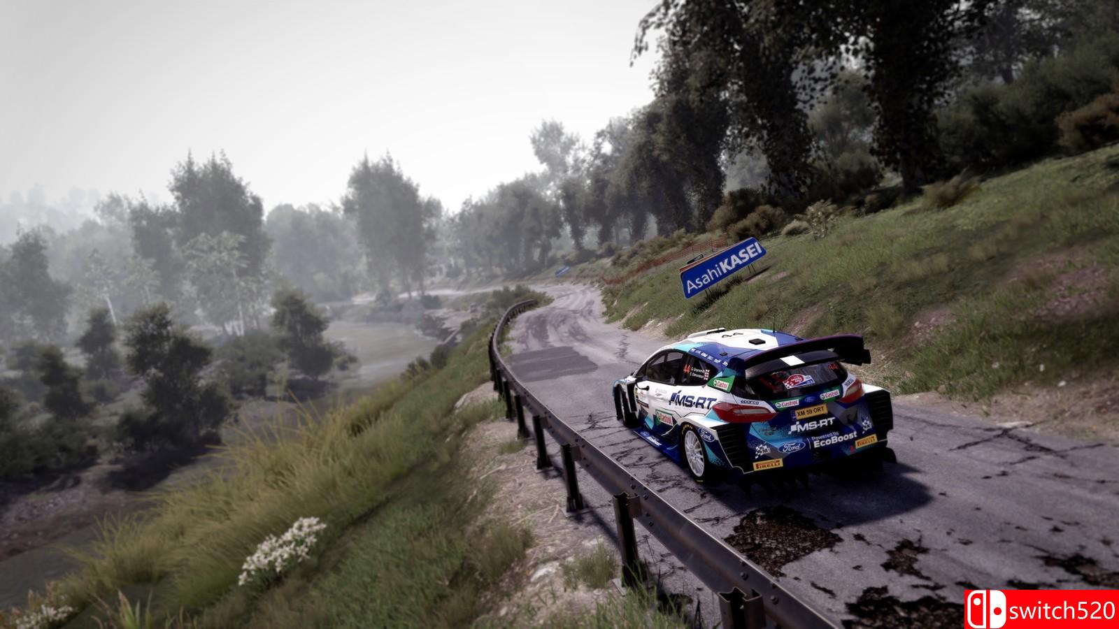 《世界汽车拉力锦标赛10》免安装绿色中文版_3