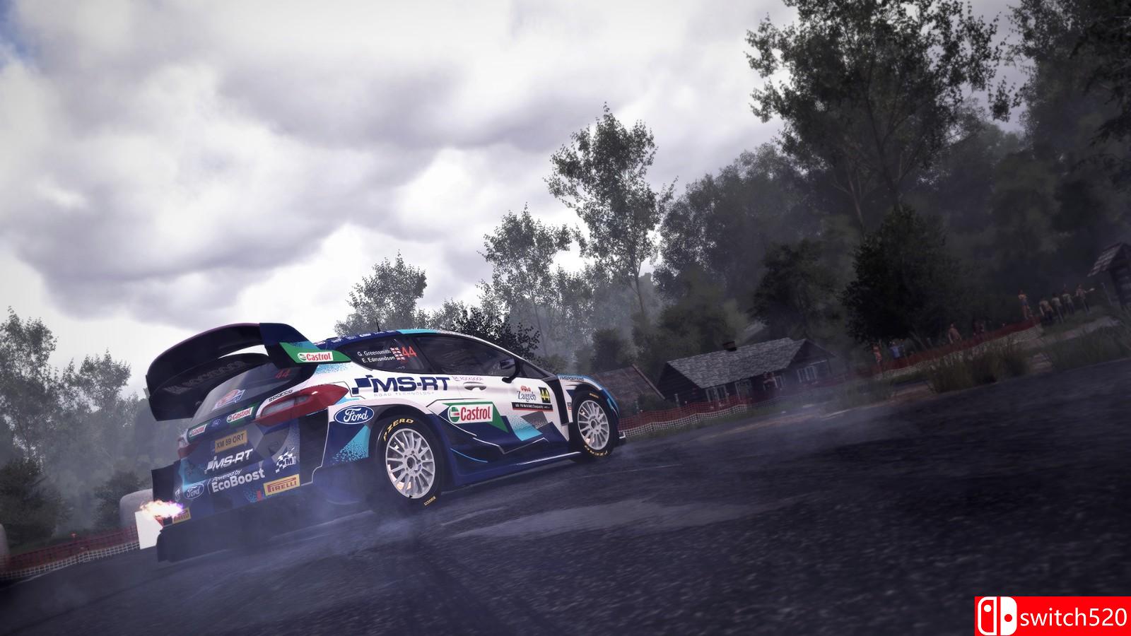 《世界汽车拉力锦标赛10》免安装绿色中文版_4