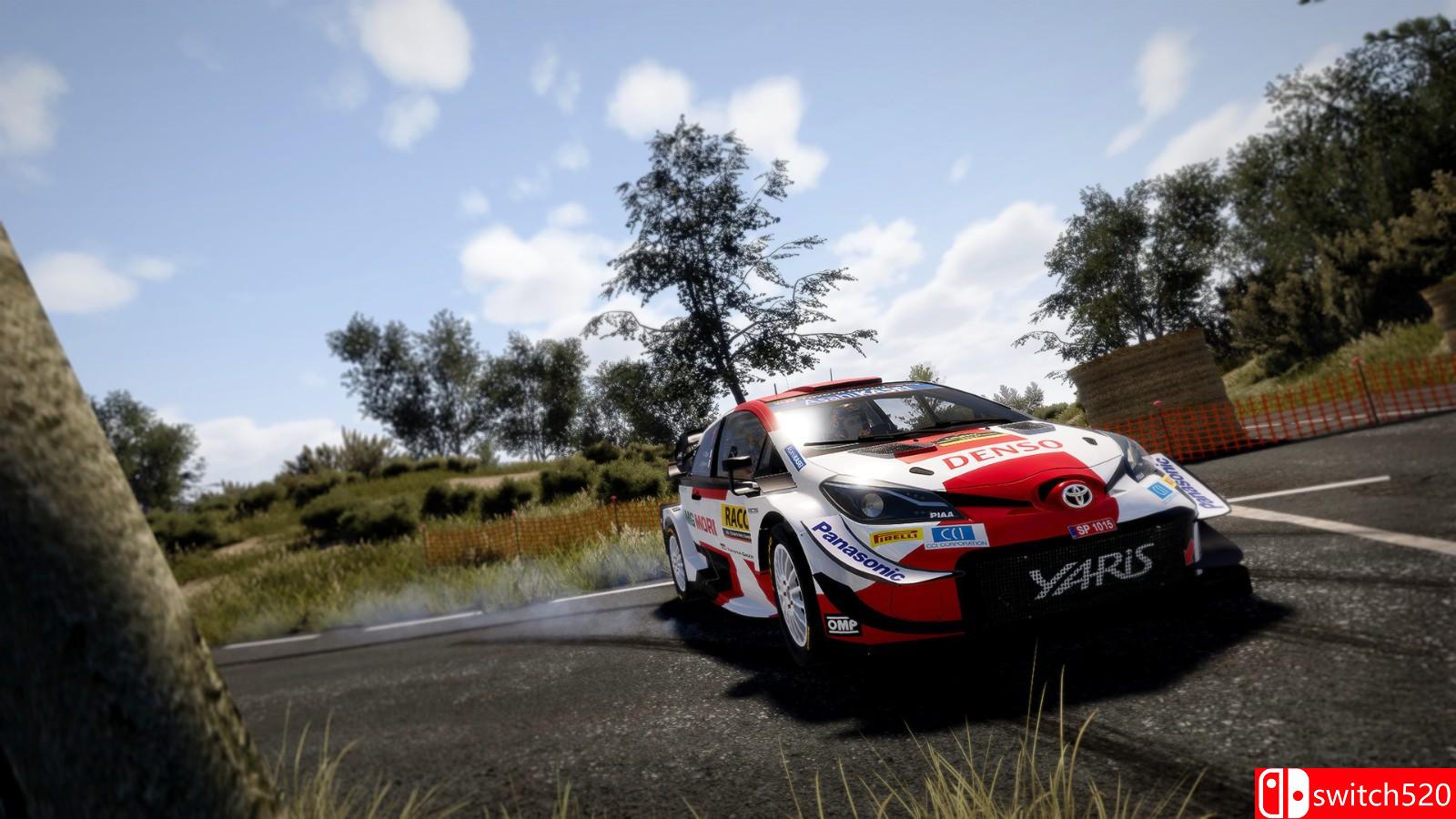 《世界汽车拉力锦标赛10》免安装绿色中文版_7