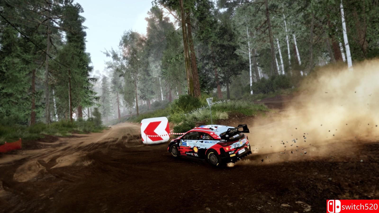 《世界汽车拉力锦标赛10》免安装绿色中文版_8