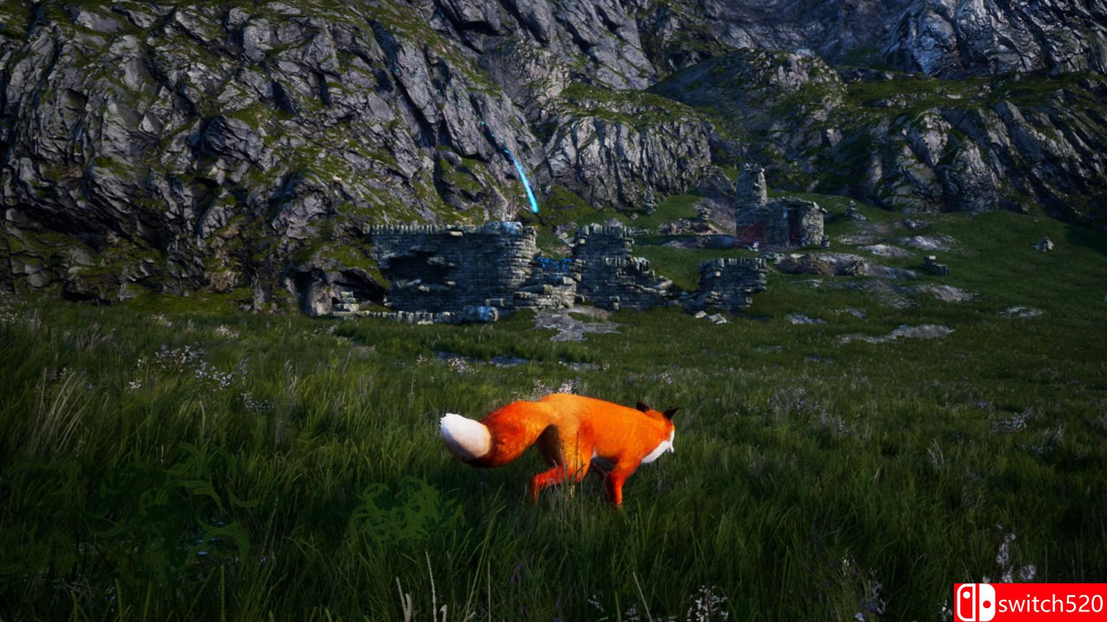 《北方之魂》游戏截图4