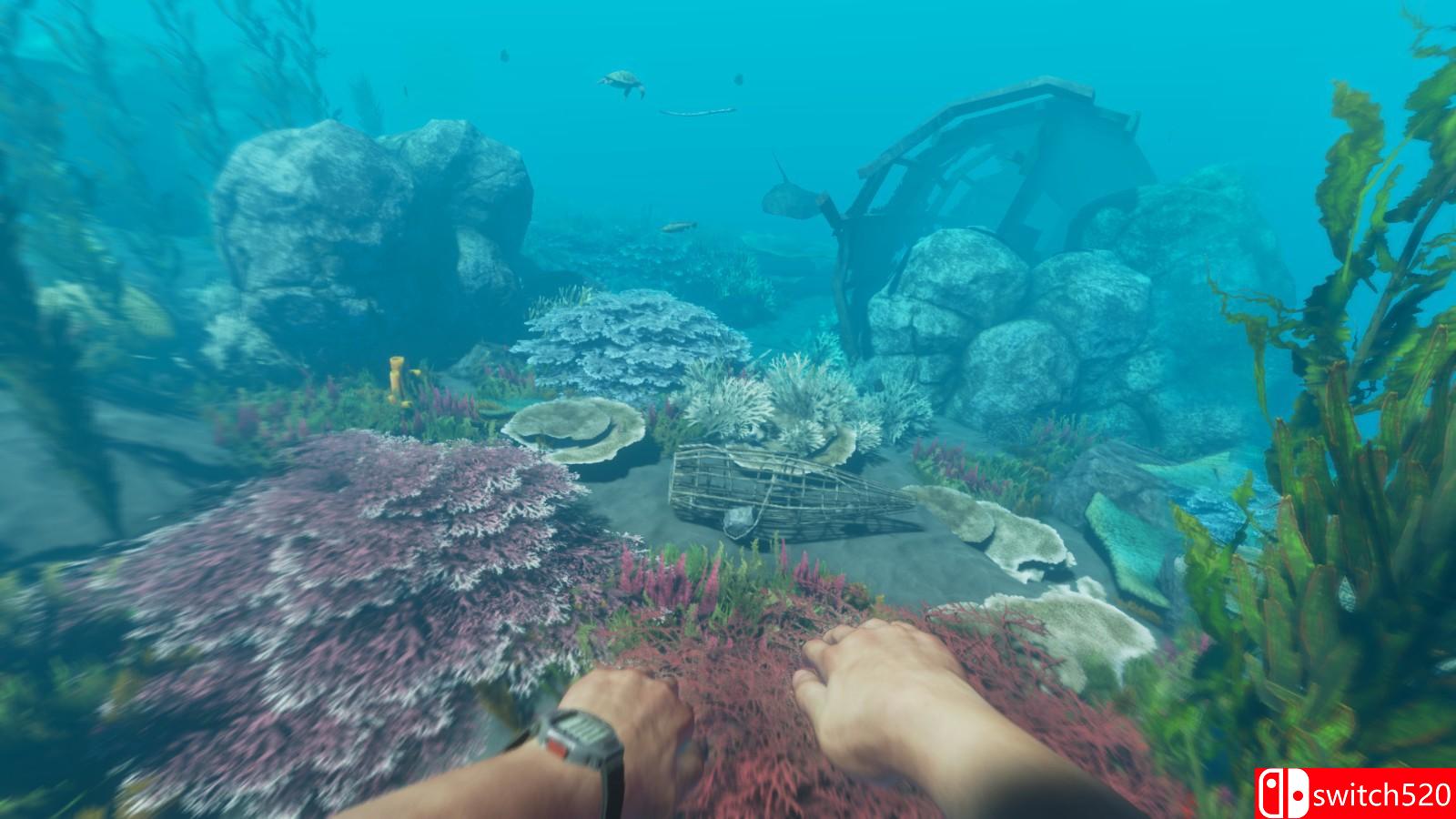 《荒岛求生》游戏截图2