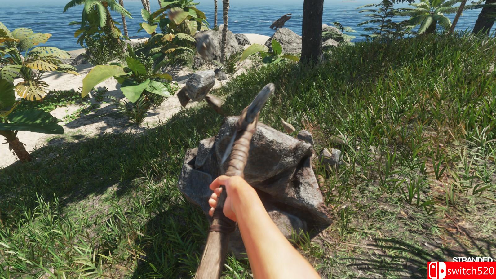 《荒岛求生》游戏截图4