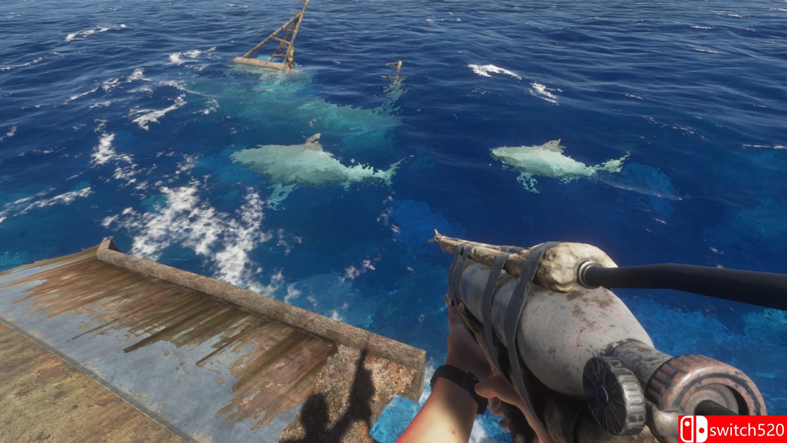 《荒岛求生》游戏截图8