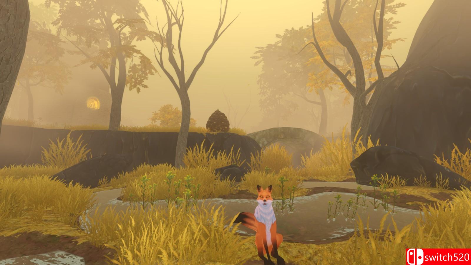 《永恒滚筒》游戏截图6