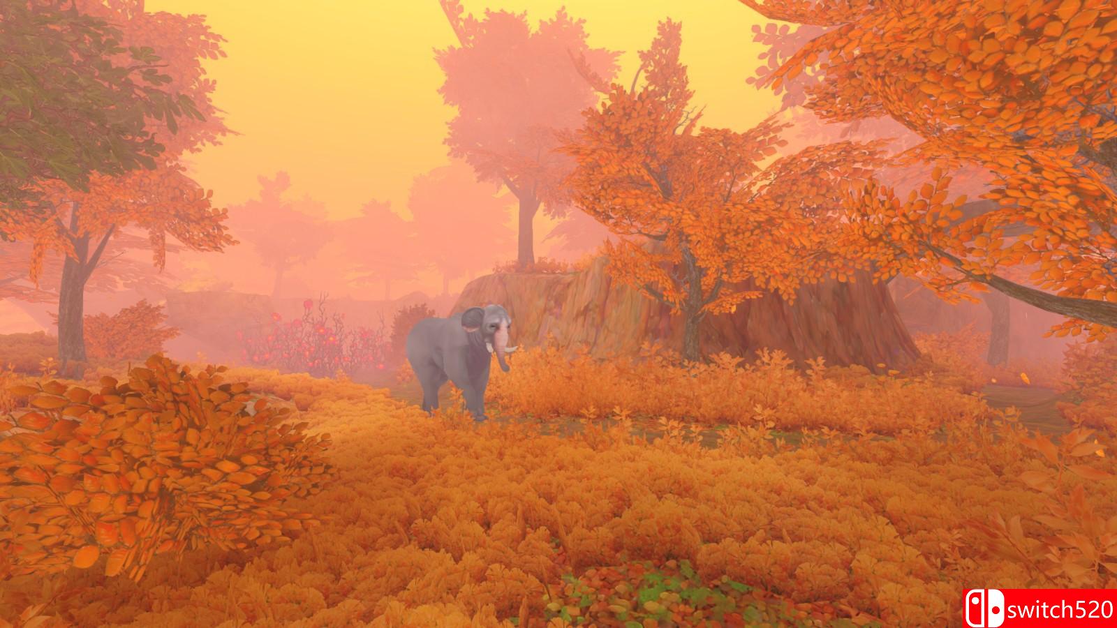 《永恒滚筒》游戏截图4