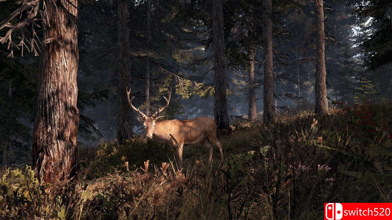 游戏场景截图七