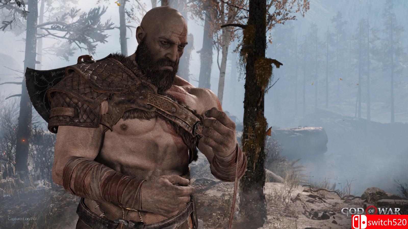 《战神4 God of War》免安装v1.05绿色中文版_3