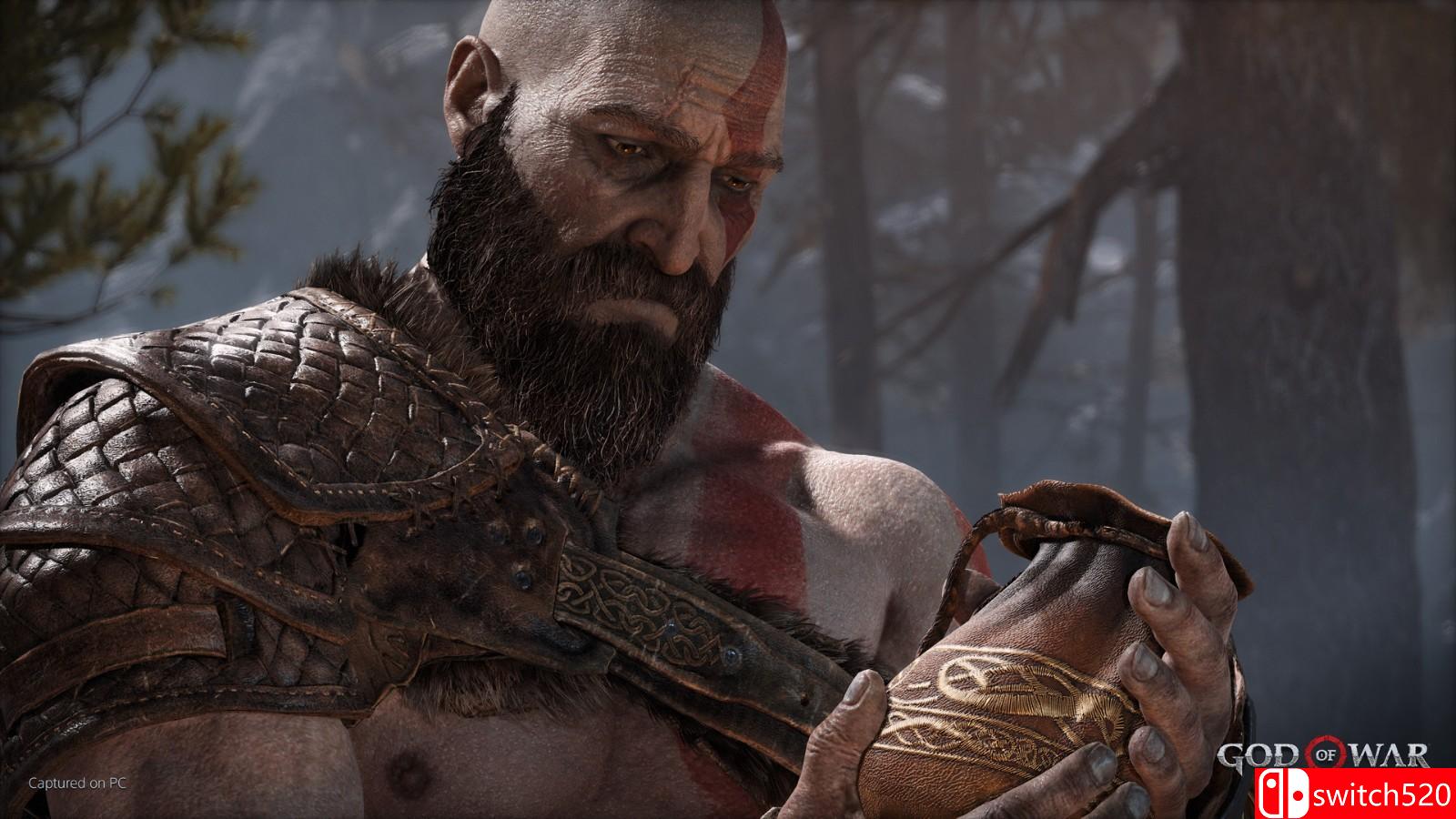 《战神4 God of War》免安装v1.05绿色中文版_6