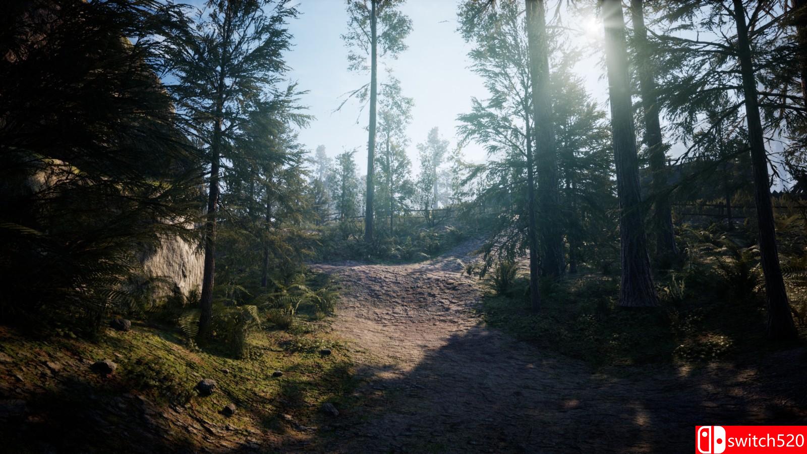 《法术大师：传奇》游戏截图5