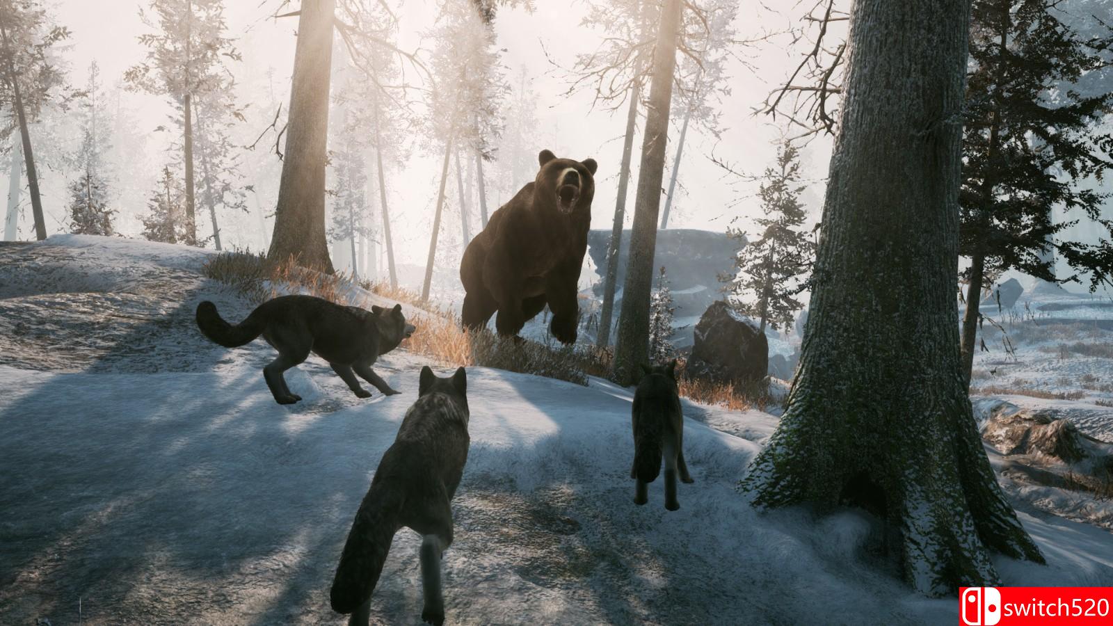 《冬日幸存者》游戏截图1