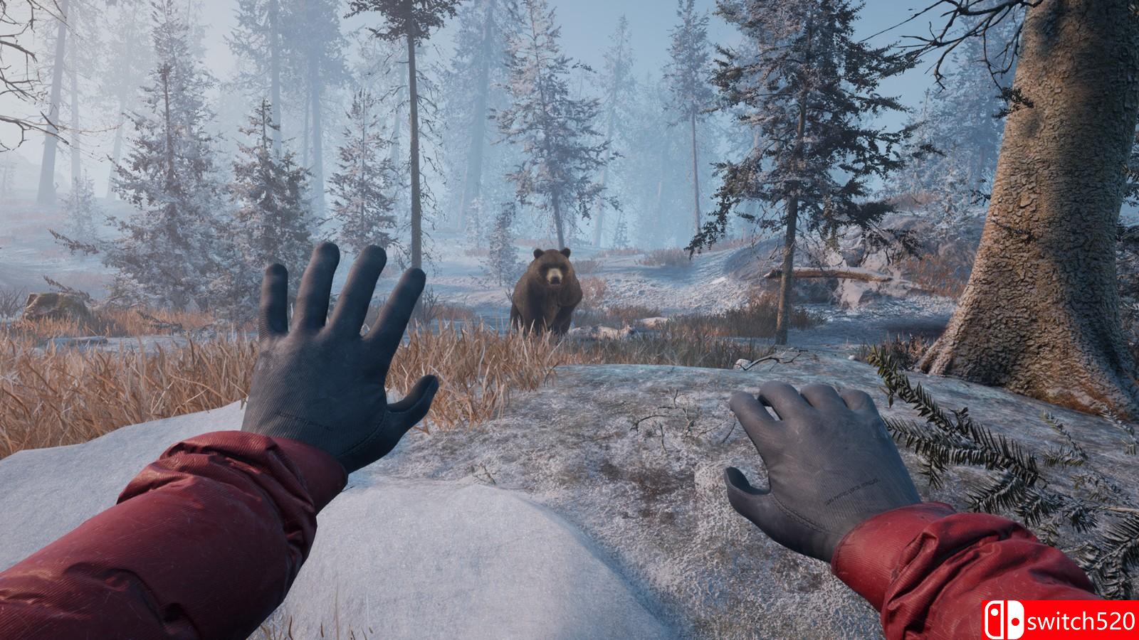 《冬日幸存者》游戏截图3