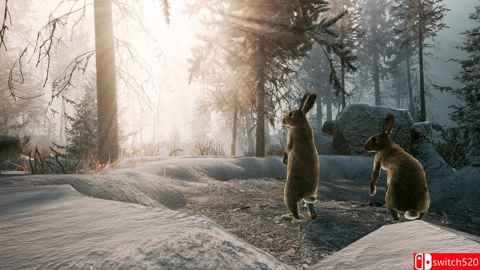 《冬日幸存者》游戏截图4