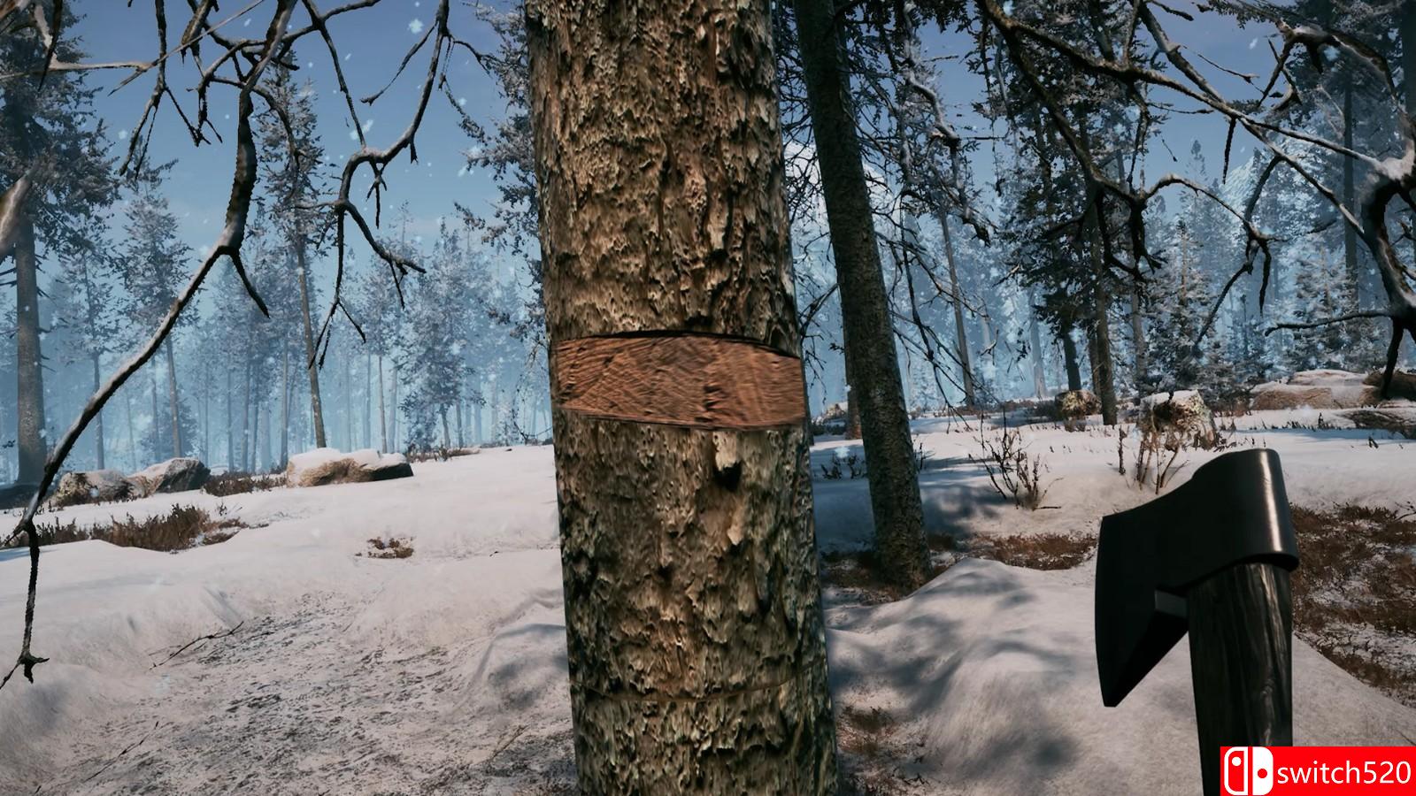 《冬日幸存者》游戏截图6