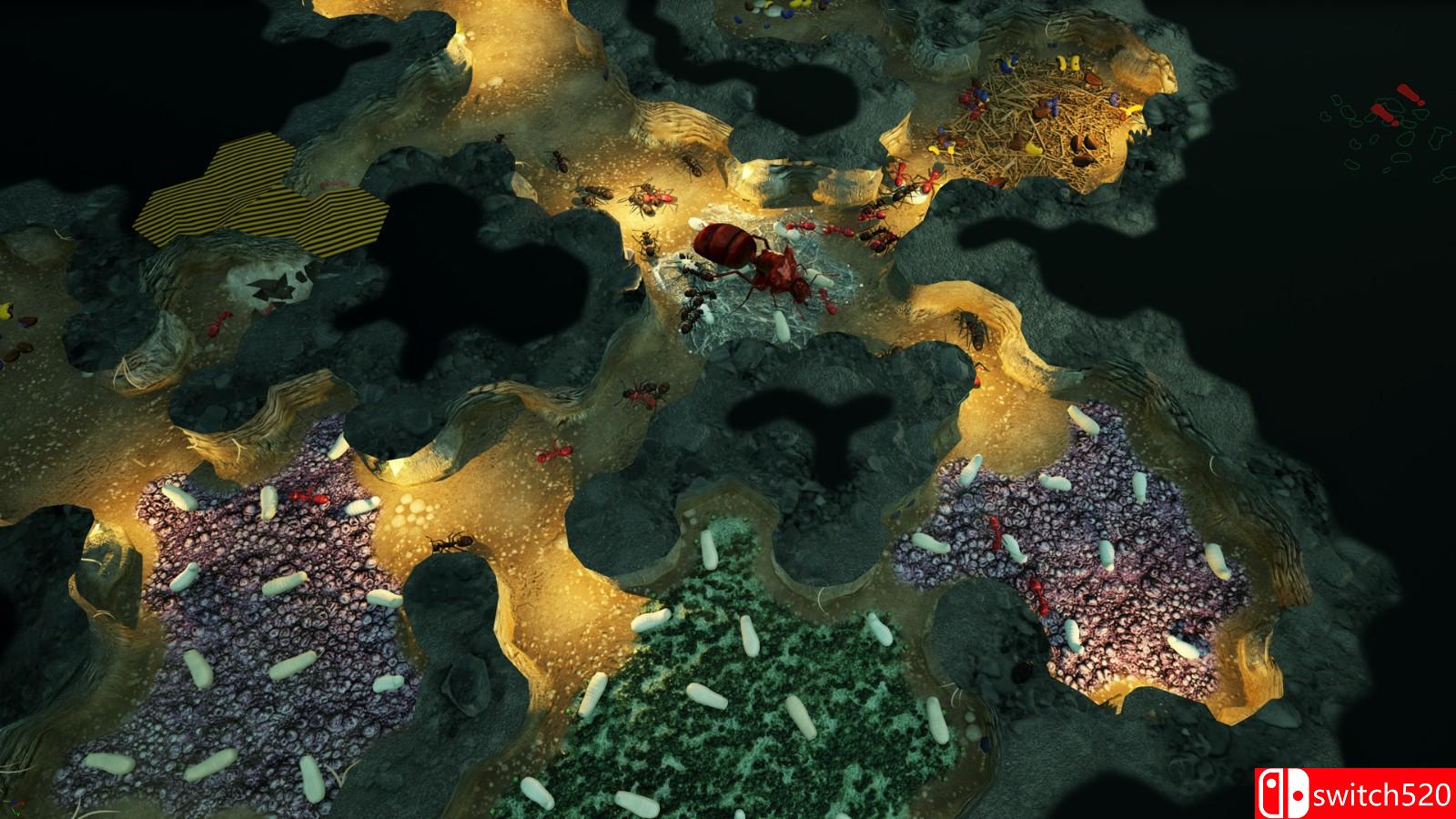 《地下蚁国》游戏截图1