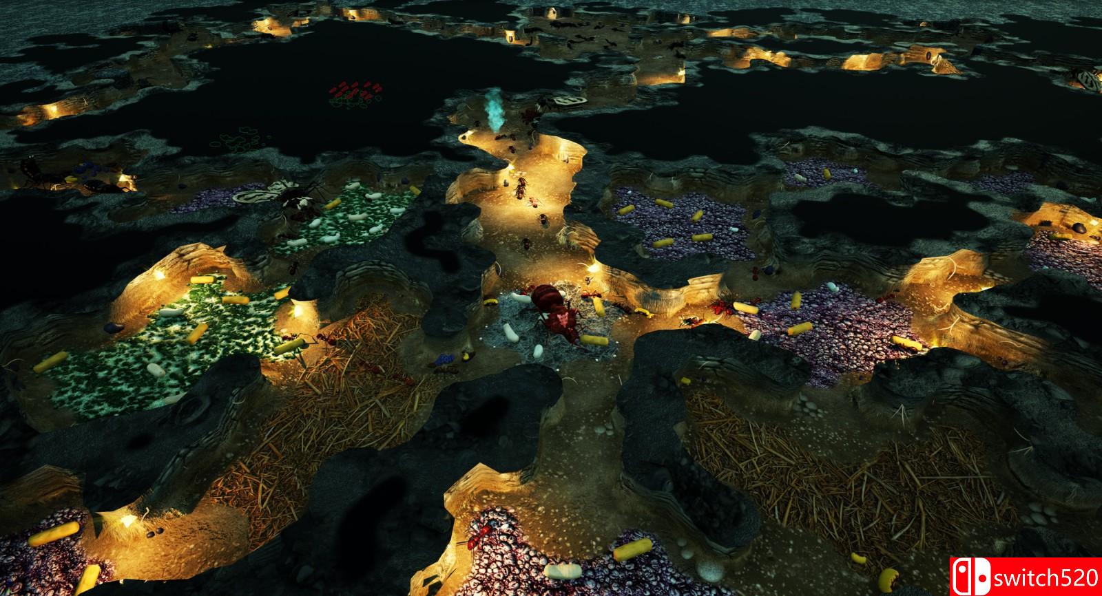 《地下蚁国》游戏截图4