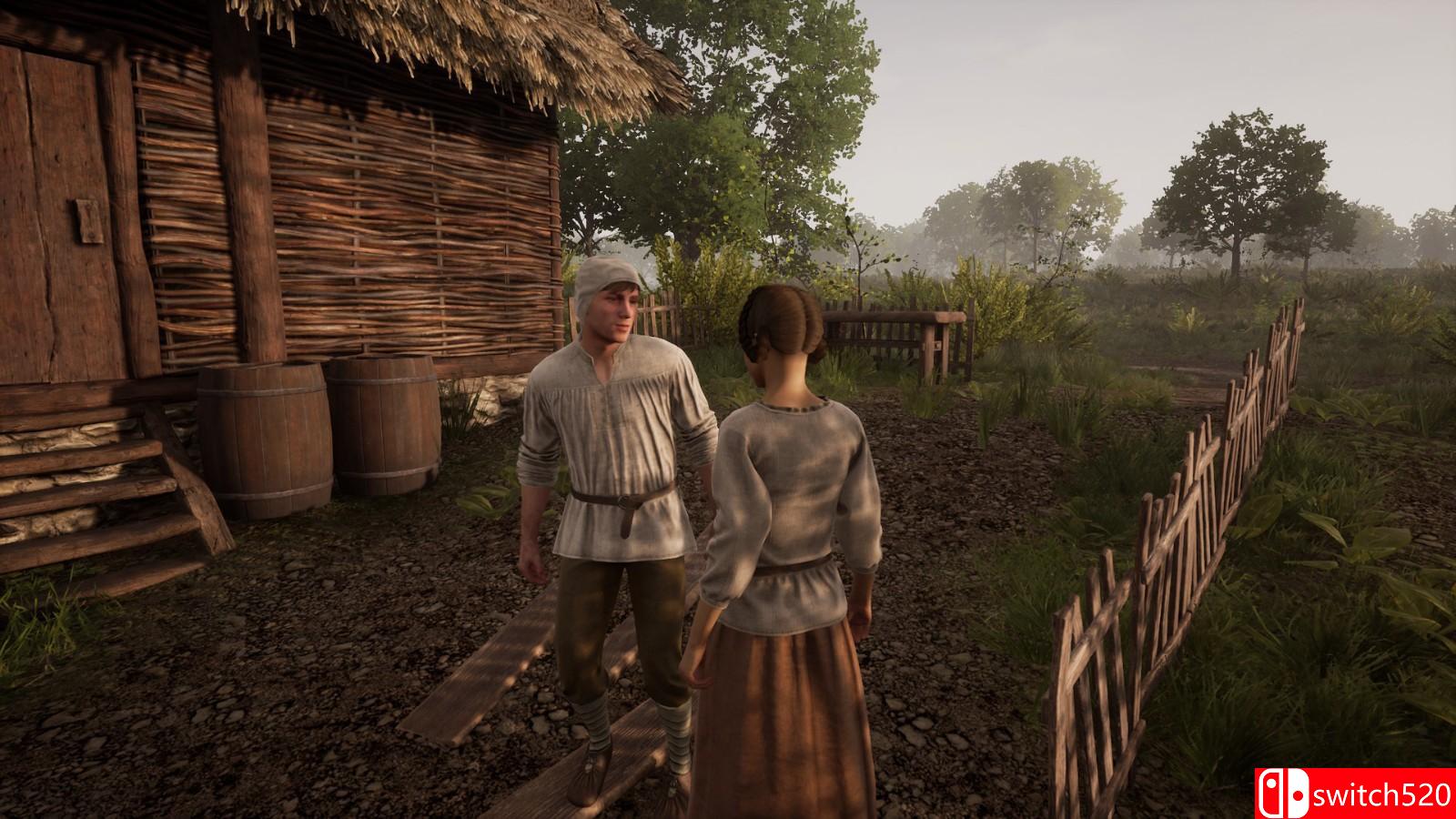 《中世纪王朝》免安装v1.2.0.1绿色中文版_1