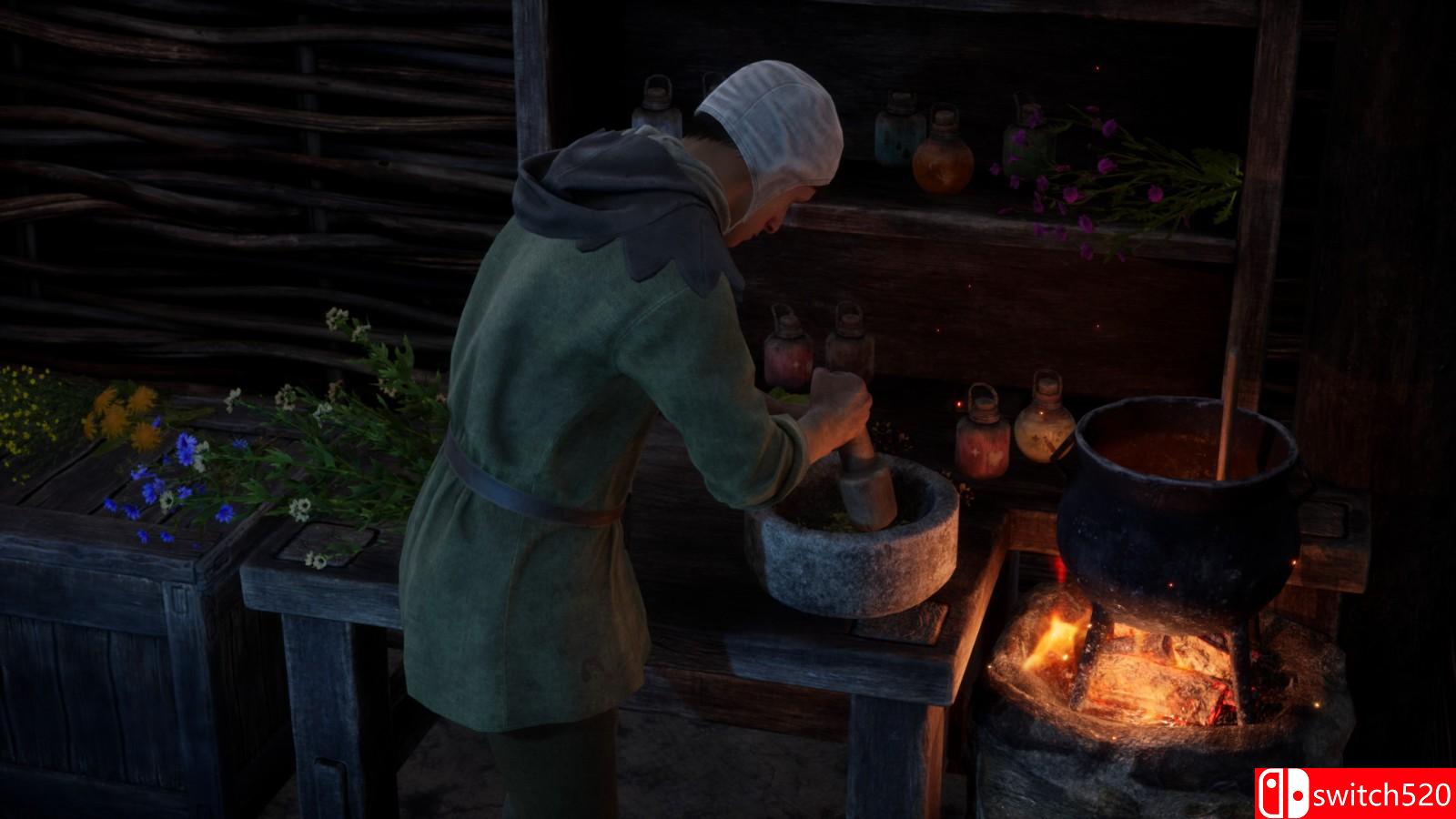 《中世纪王朝》免安装v1.2.0.1绿色中文版_3