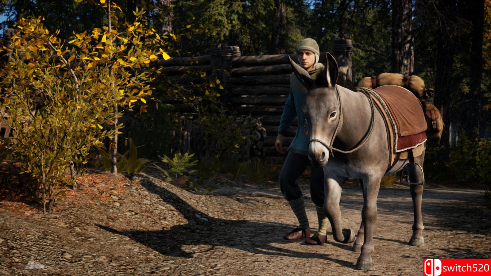 《中世纪王朝》免安装v1.2.0.1绿色中文版_4