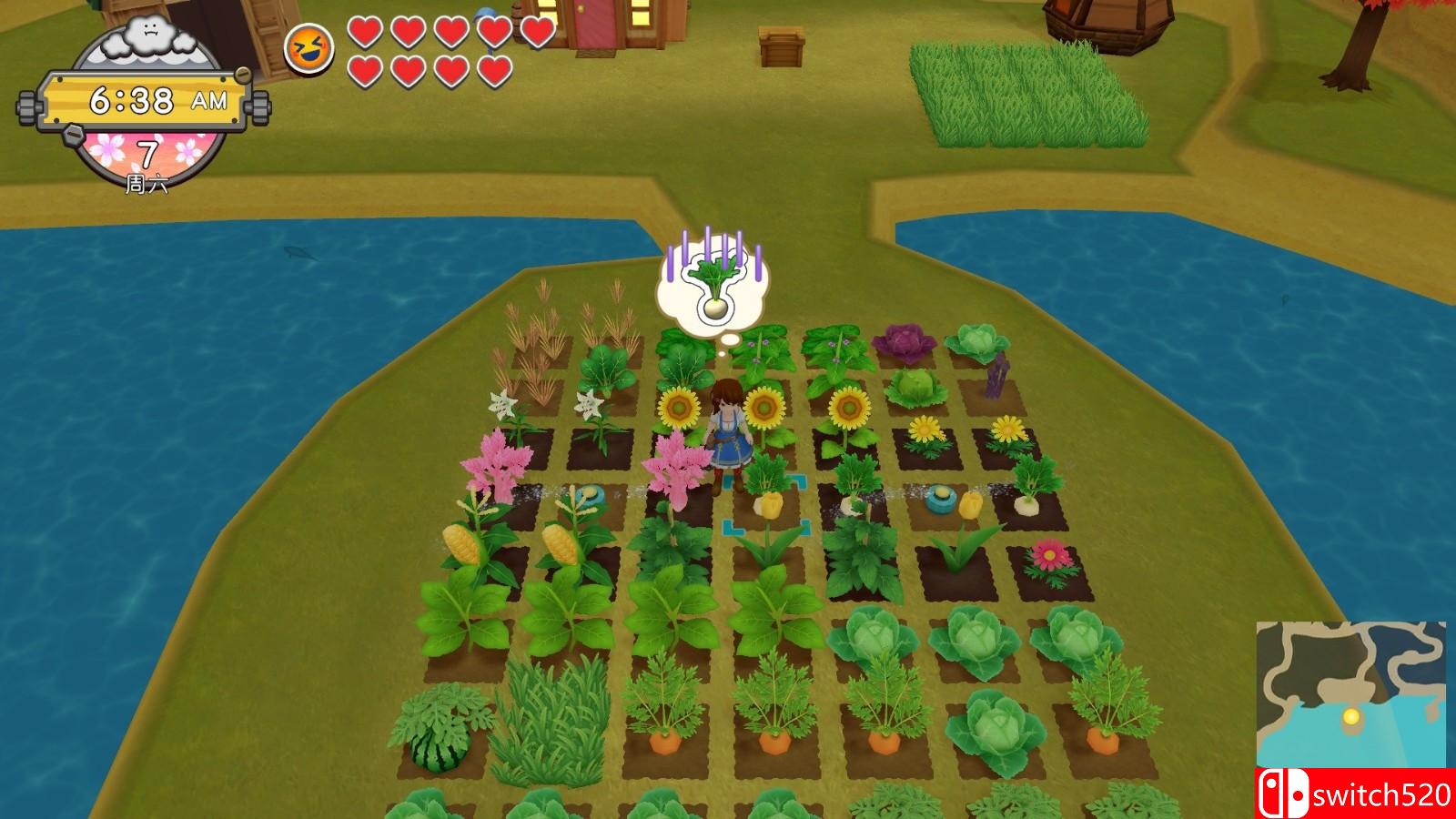 《牧场物语：一个世界》游戏截图3