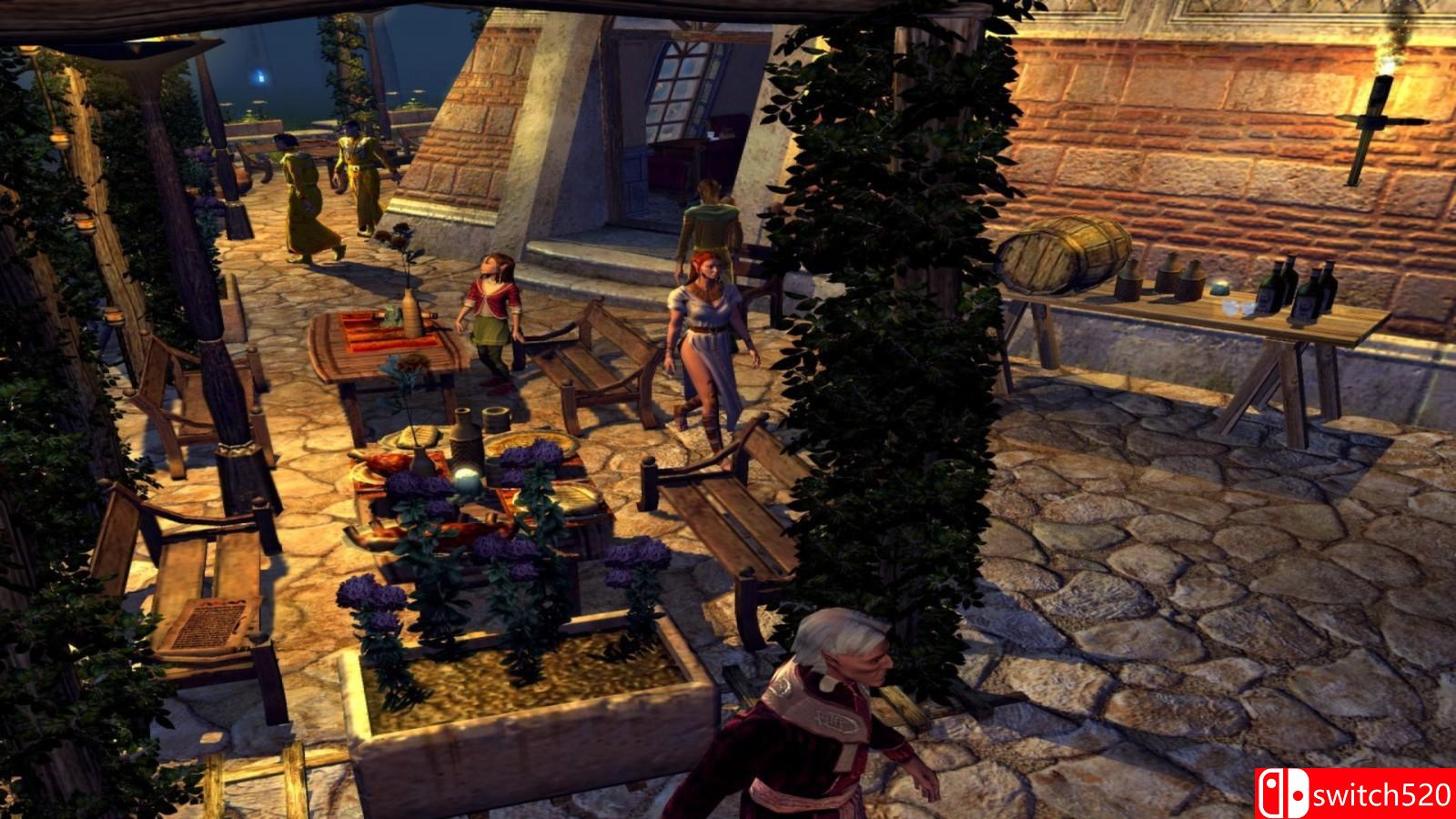 《圣域2：黄金版》游戏截图1