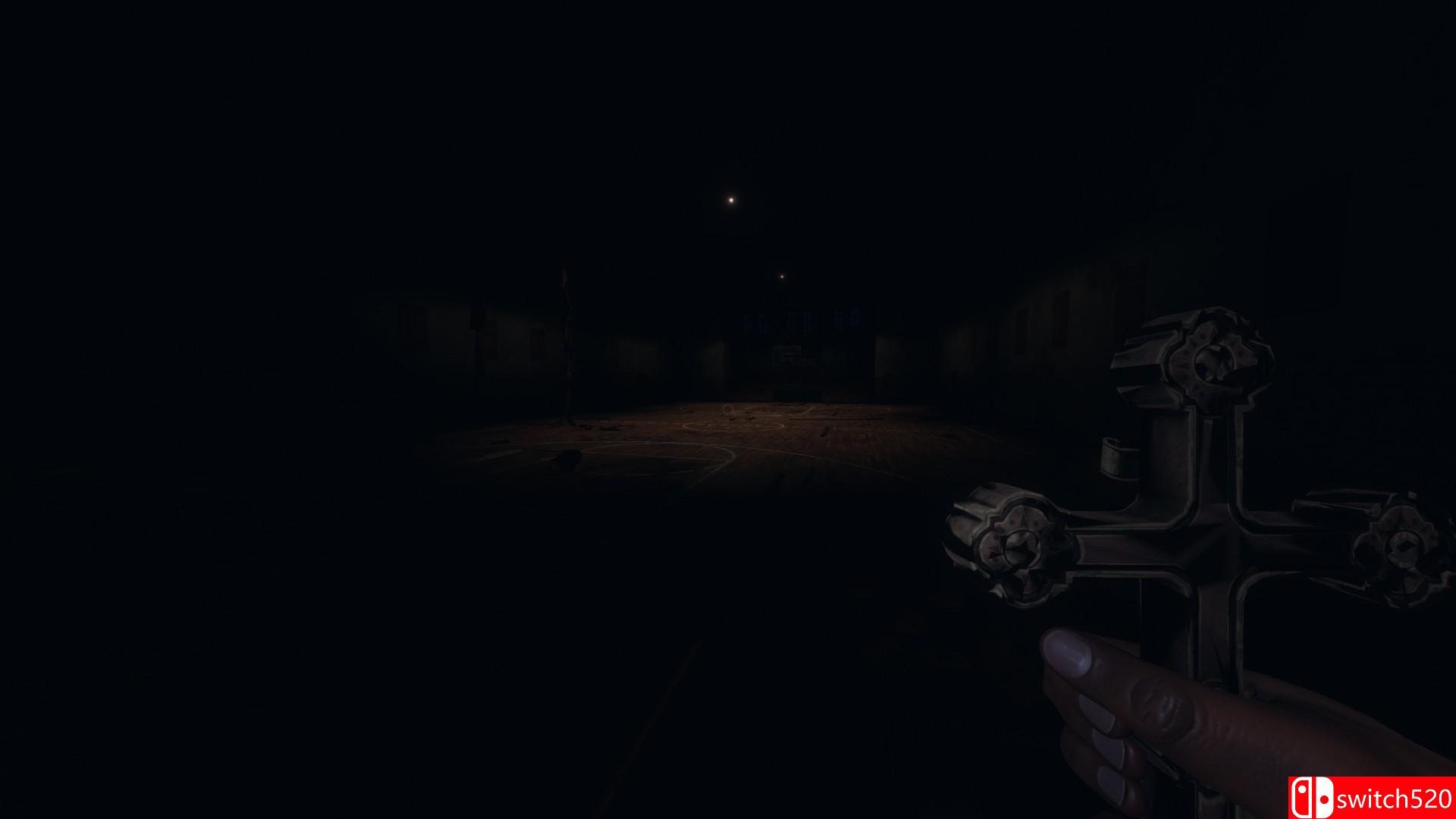 《恐相症》游戏截图1