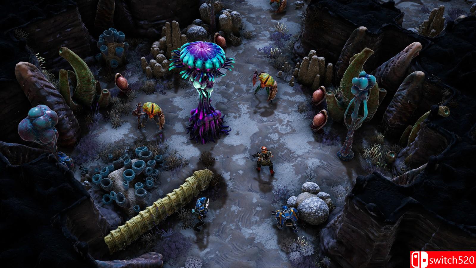 《凤凰点》游戏截图7