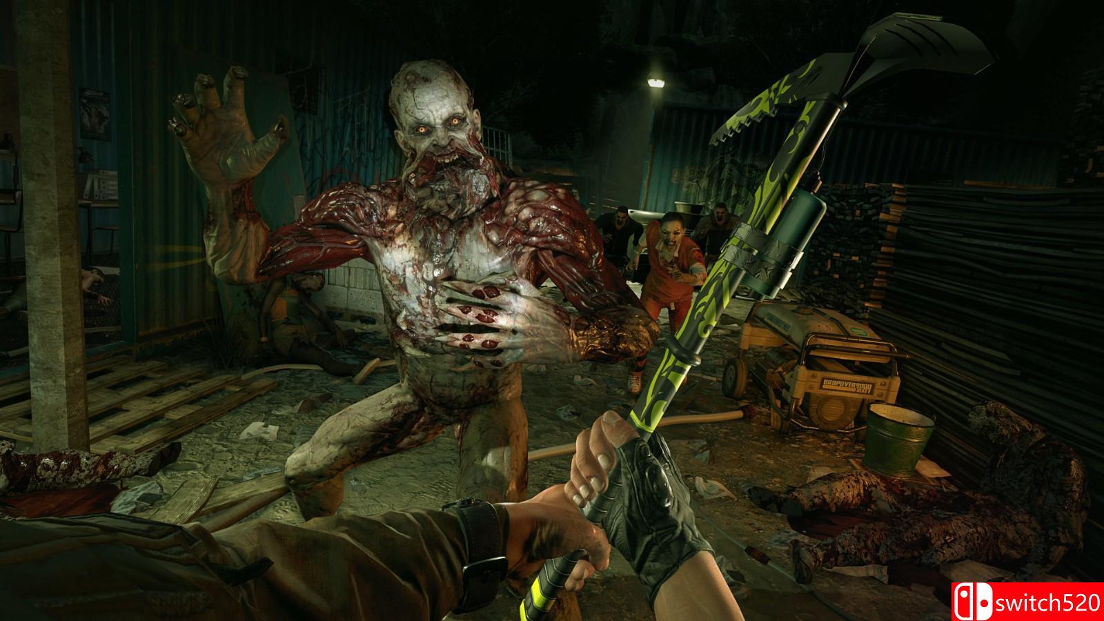 《消逝的光芒》游戏截图1