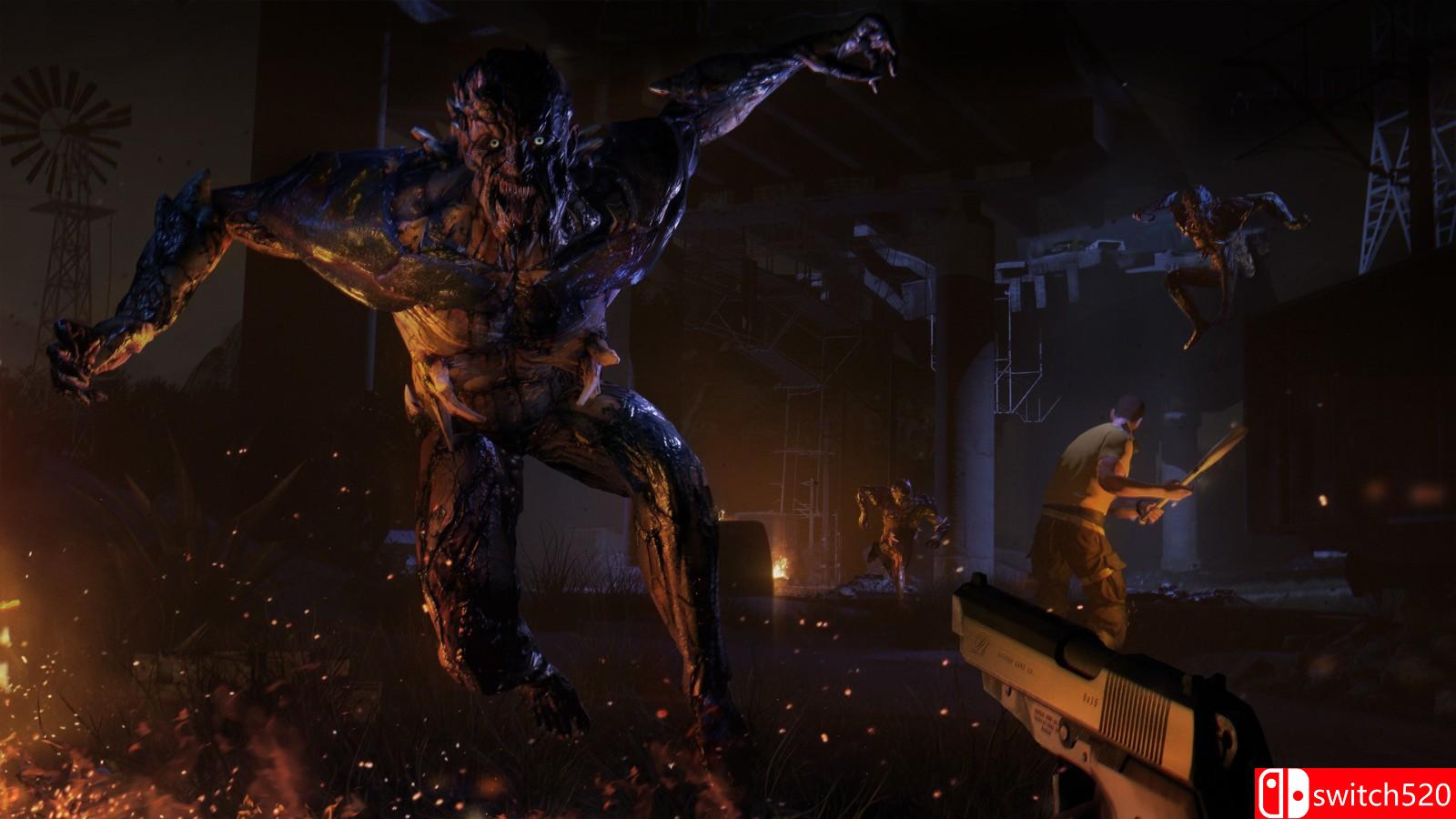 《消逝的光芒》游戏截图7