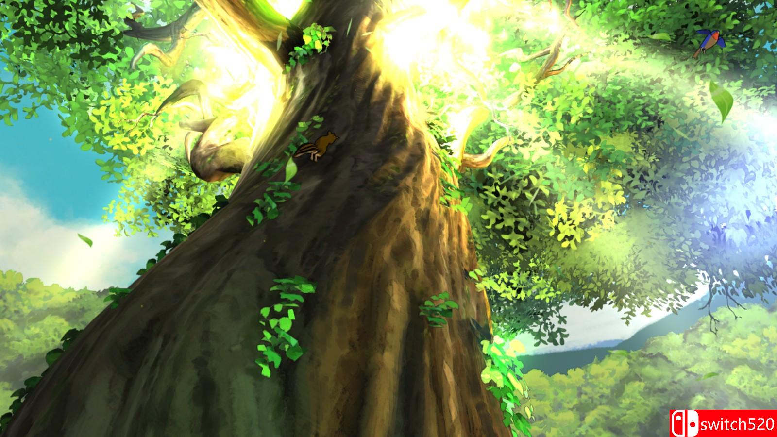 《巴尔多：猫头鹰守卫者》游戏截图6