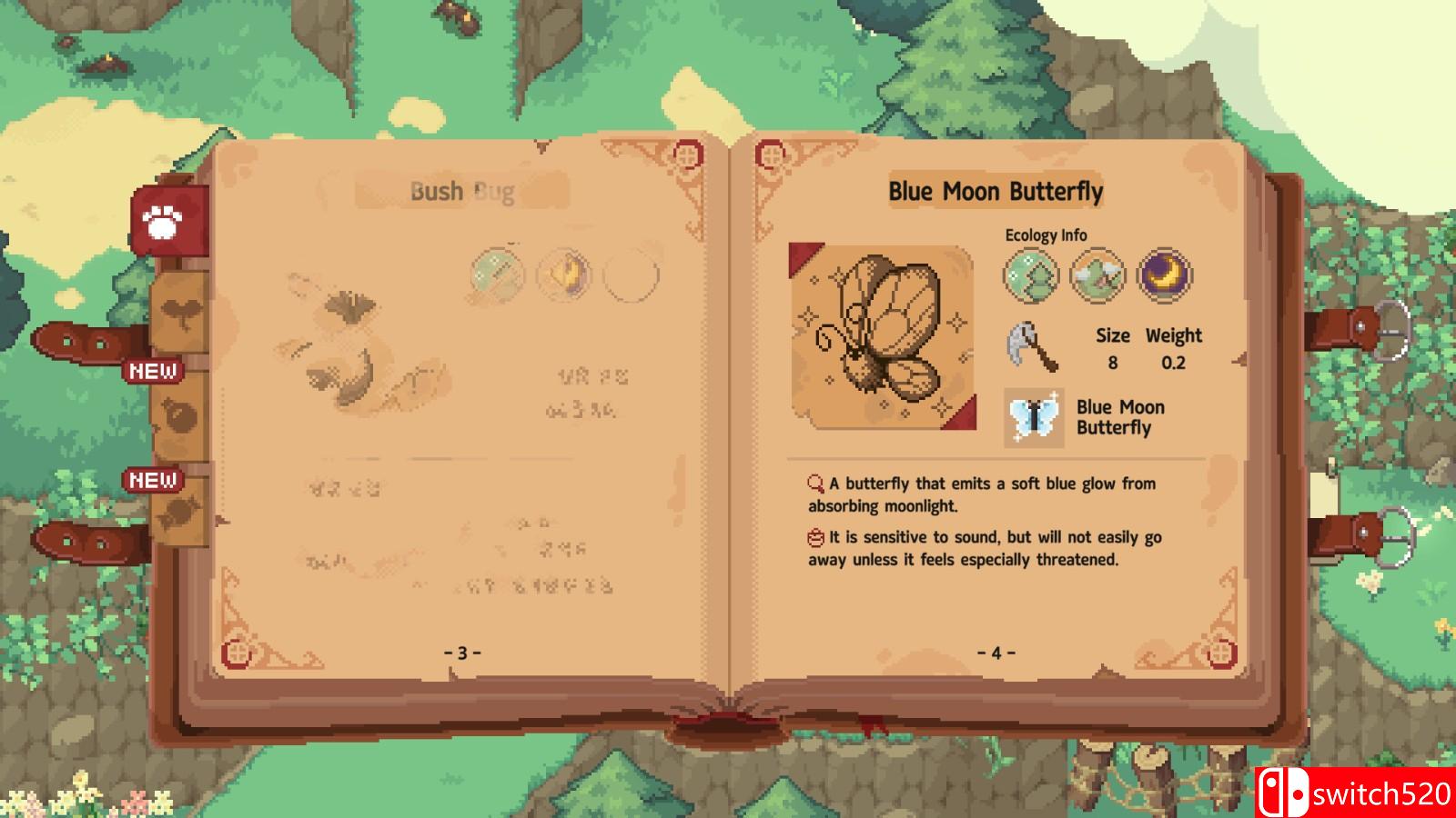 《林中小女巫》游戏截图5