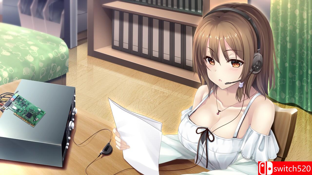 《未来广播与人工鸽》游戏截图4