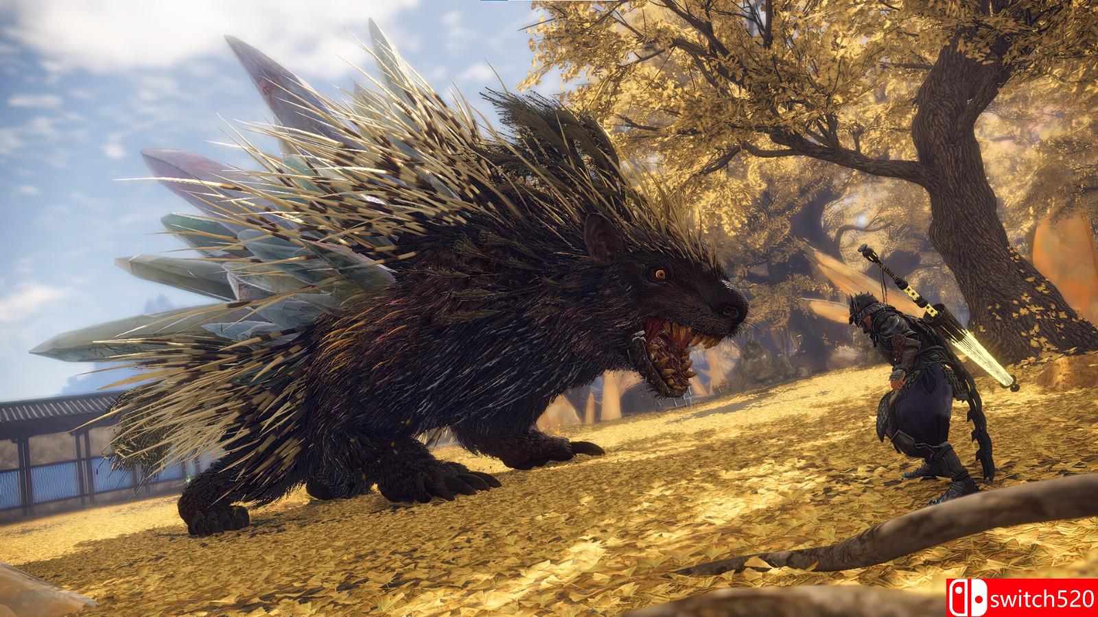 《狂野之心》游戏截图3