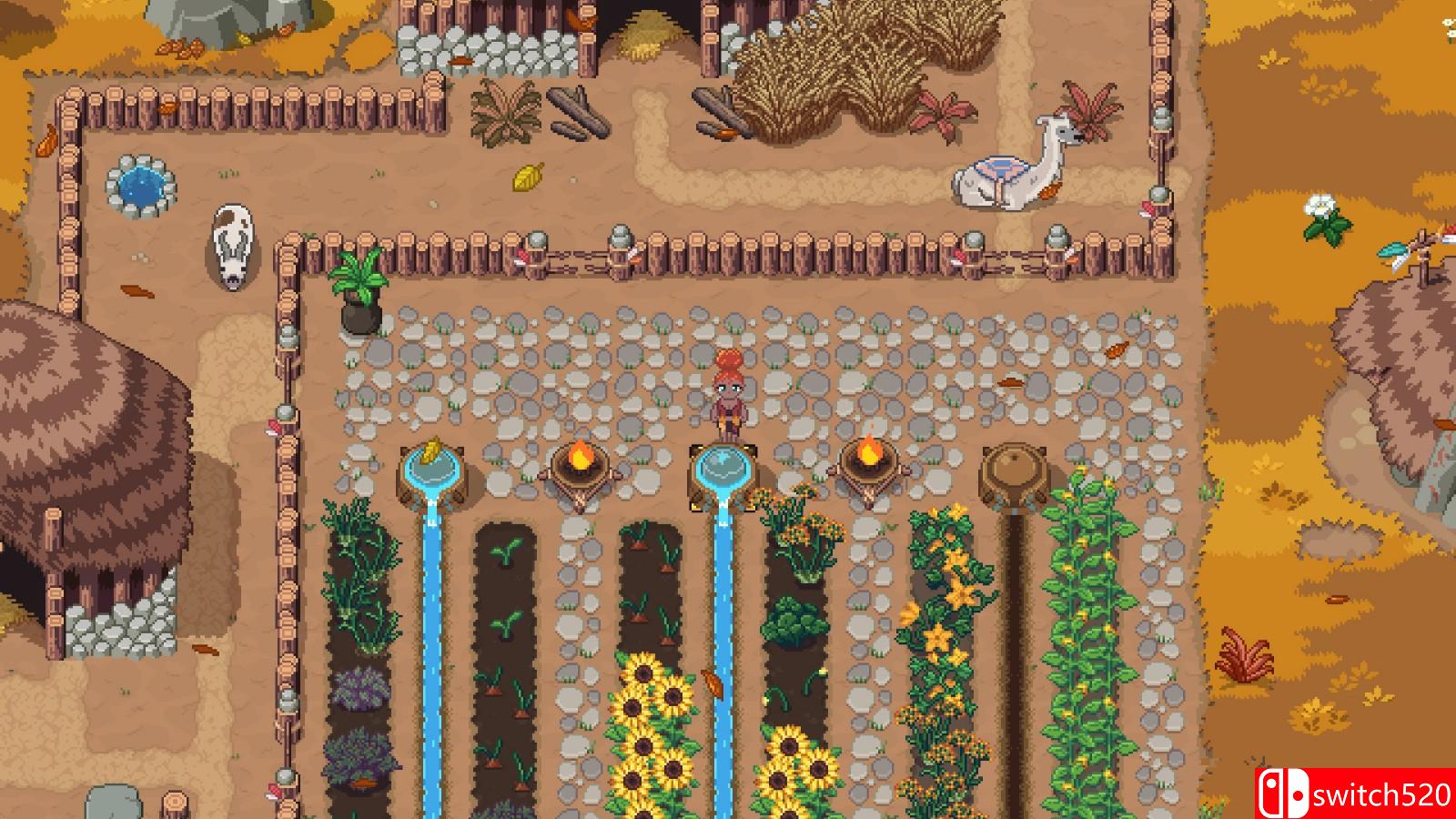 《帕夏时代 Roots of Pacha》游戏截图4