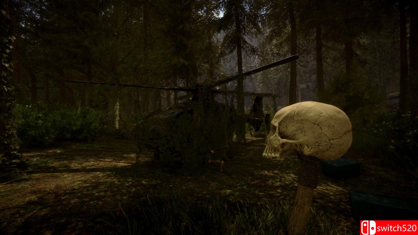 《森林之子》游戏截图1