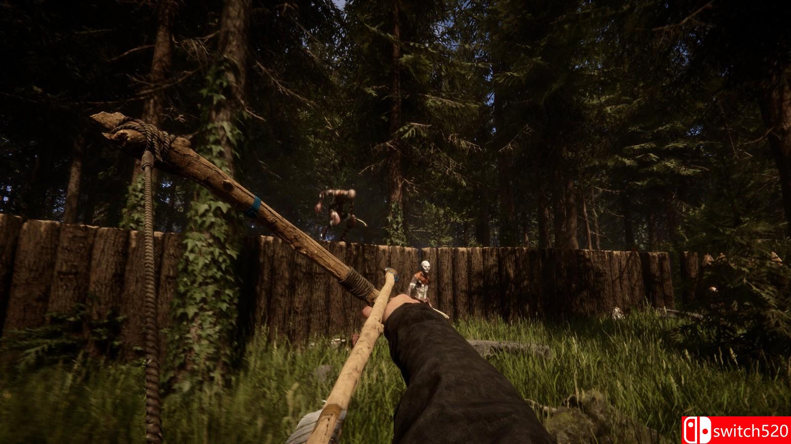 《森林之子》游戏截图3