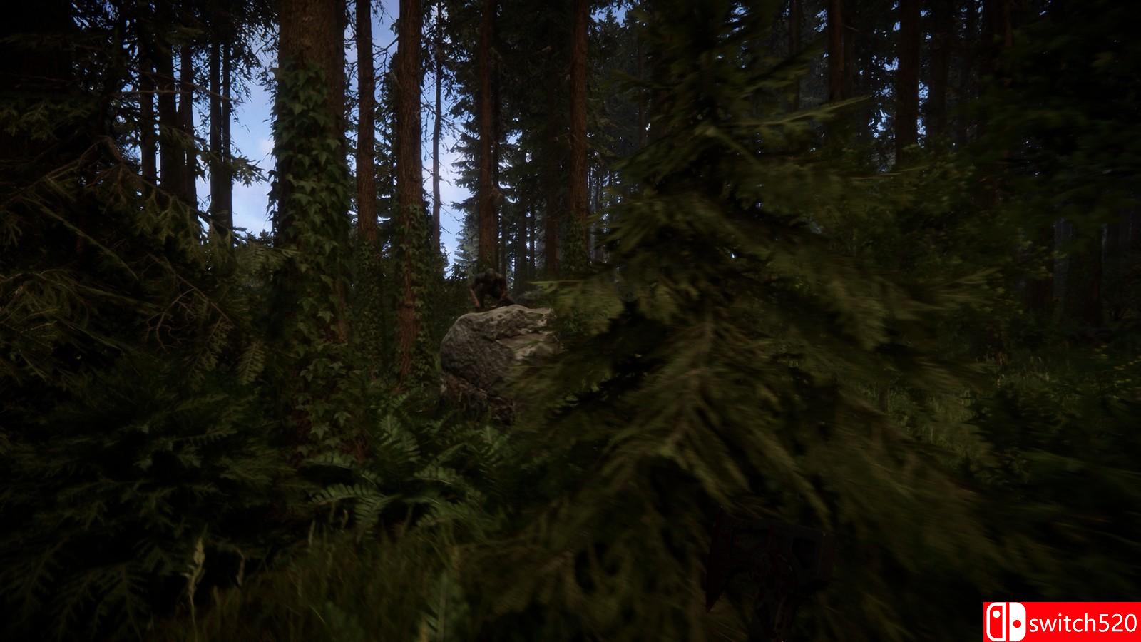 《森林之子》游戏截图4